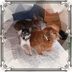 Meet your Posher, Carol